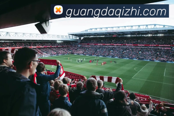 必一运动平台生态图